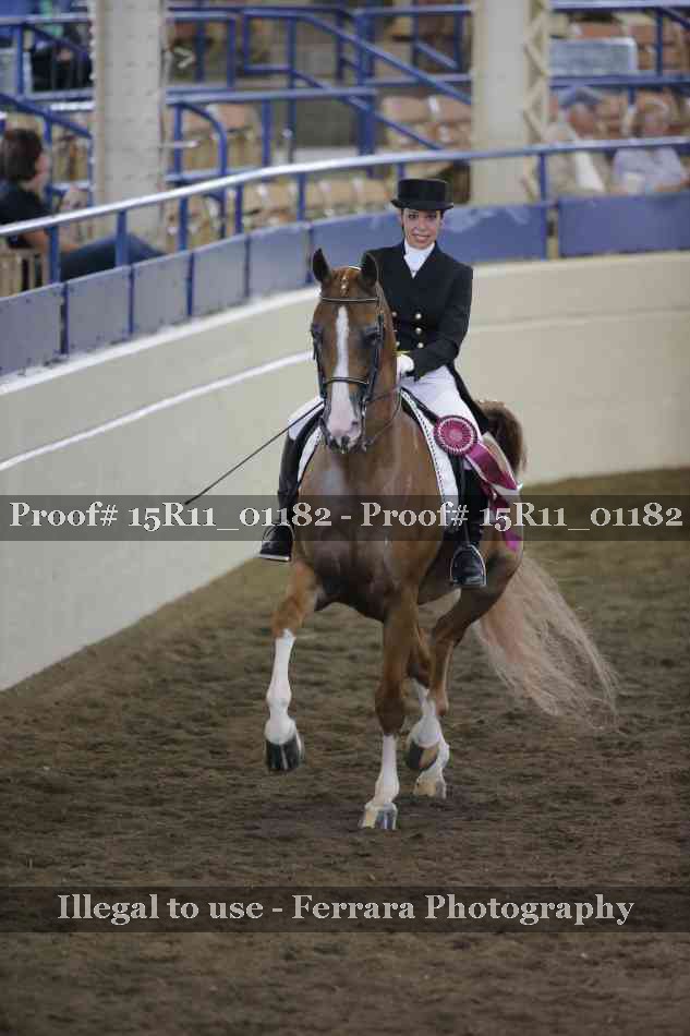 Proof Number 15R11_01182