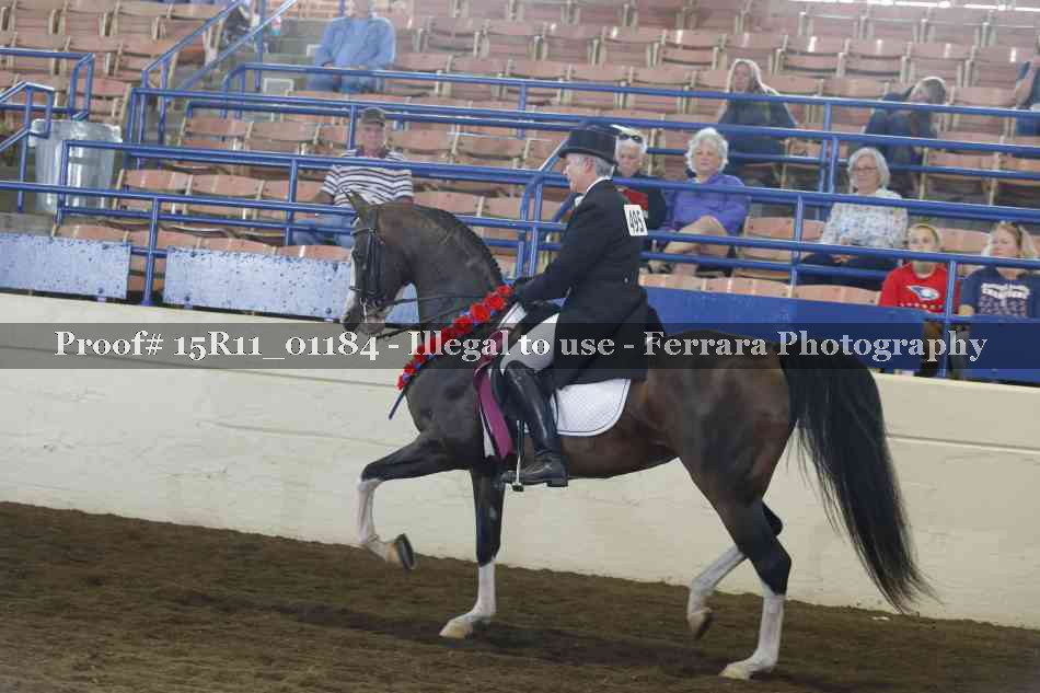 Proof Number 15R11_01184