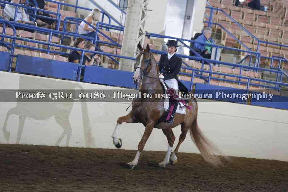 Proof Number 15R11_01186