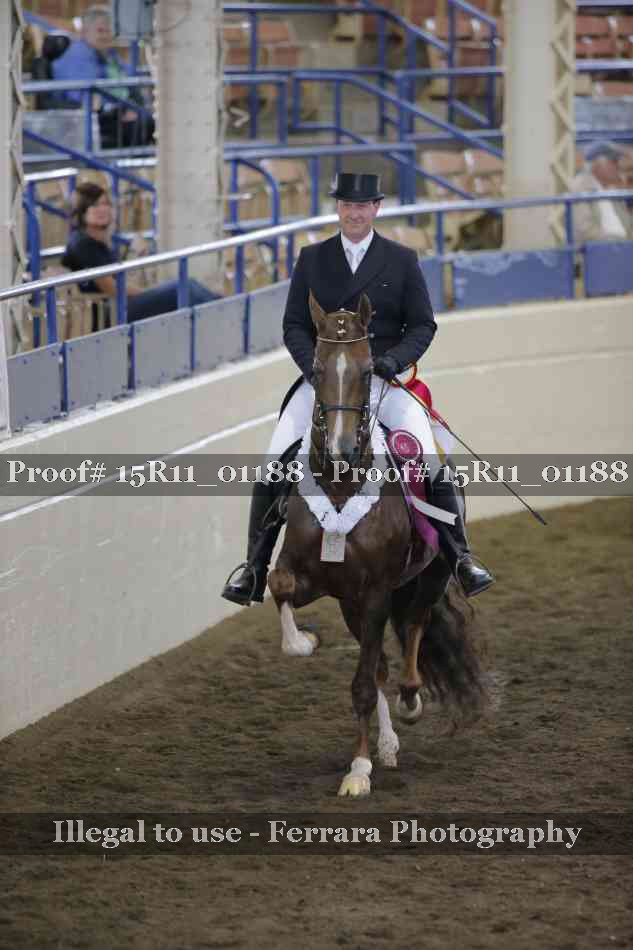 Proof Number 15R11_01188