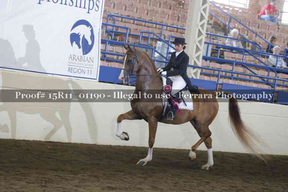 Proof Number 15R11_01190