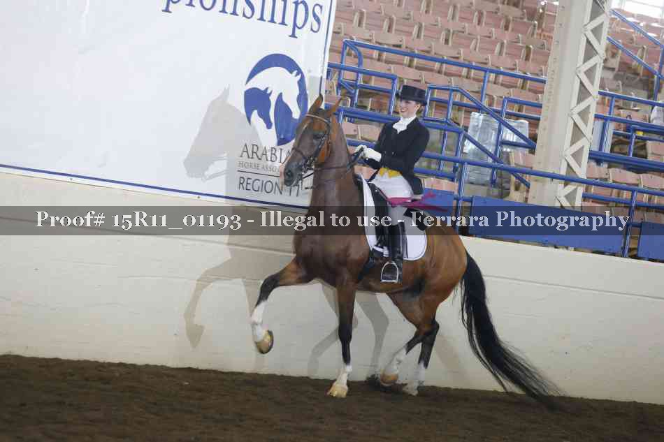 Proof Number 15R11_01193