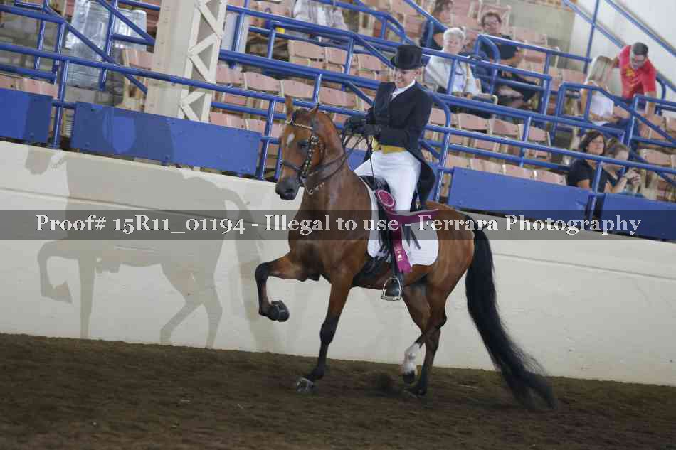 Proof Number 15R11_01194