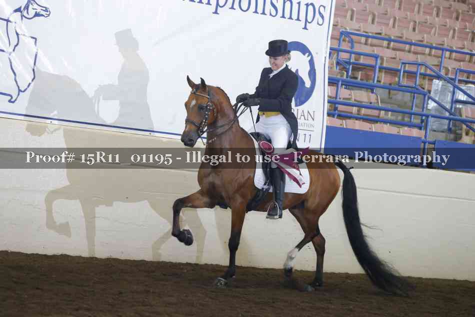 Proof Number 15R11_01195
