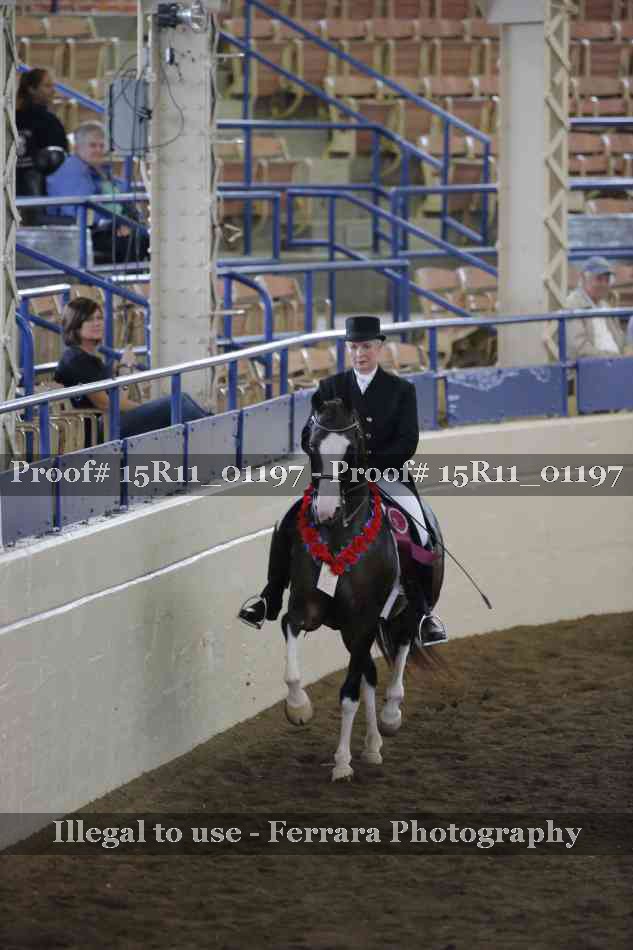 Proof Number 15R11_01197
