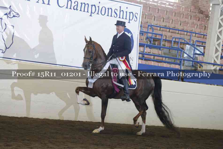 Proof Number 15R11_01201