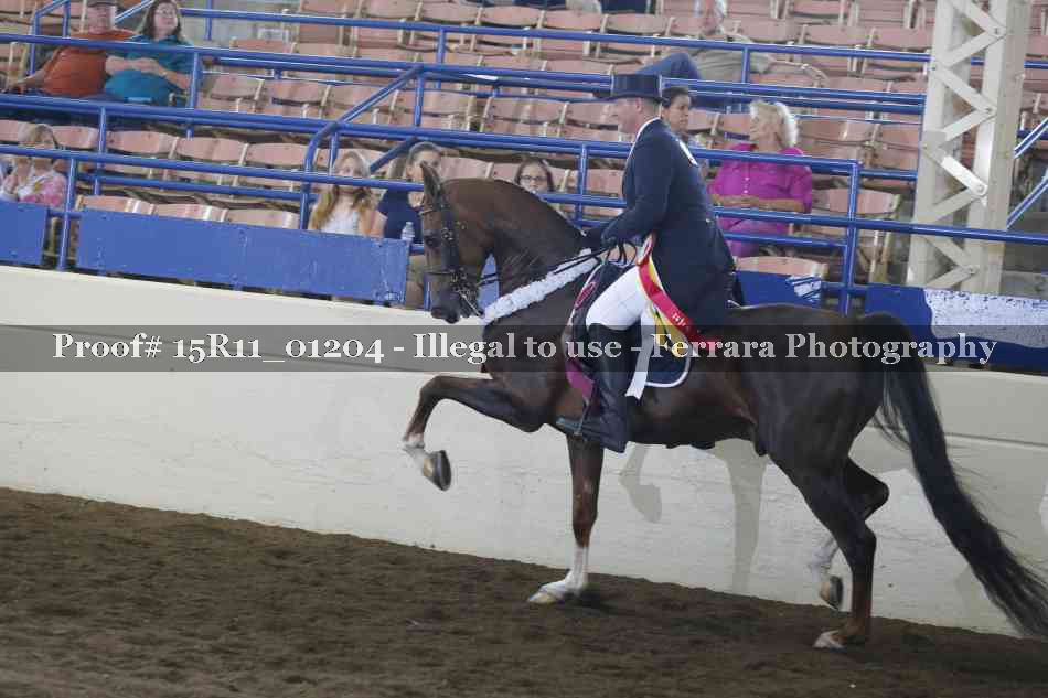 Proof Number 15R11_01204