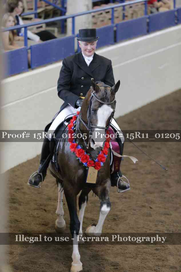 Proof Number 15R11_01205