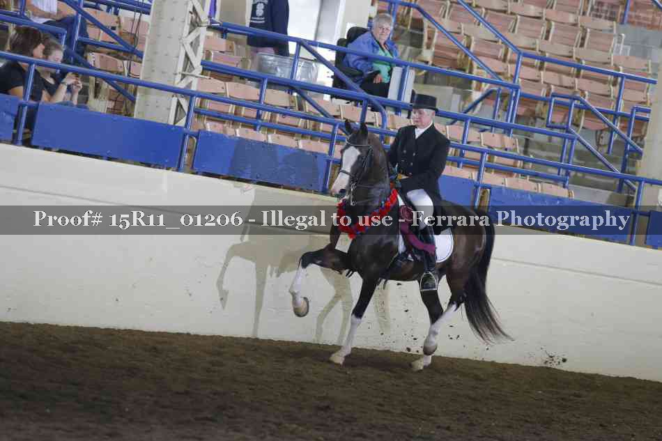 Proof Number 15R11_01206