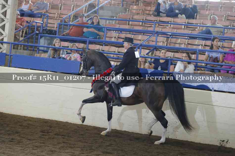 Proof Number 15R11_01207