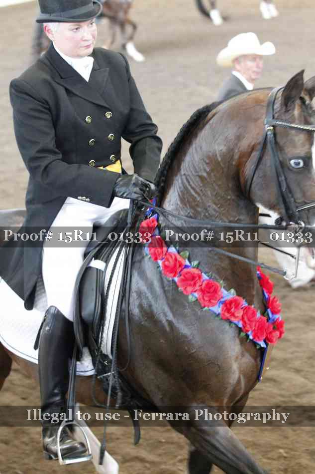 Proof Number 15R11_01333