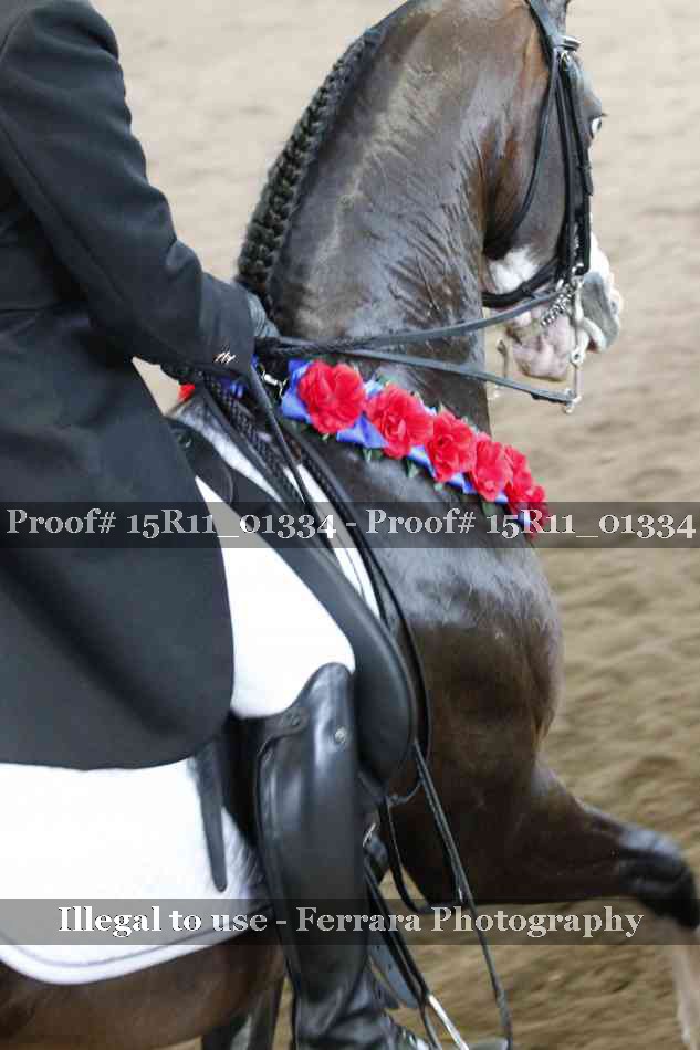 Proof Number 15R11_01334