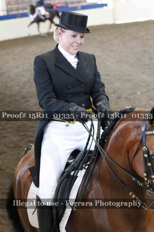 Proof Number 15R11_01335