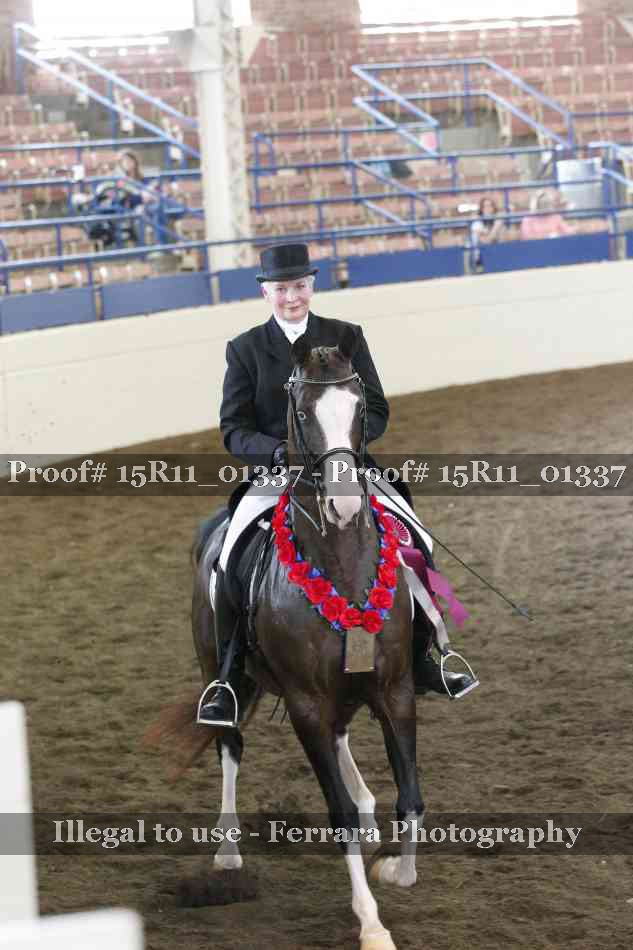 Proof Number 15R11_01337