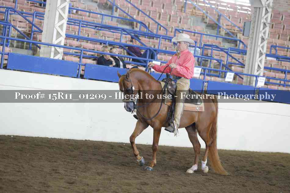 Proof Number 15R11_01209