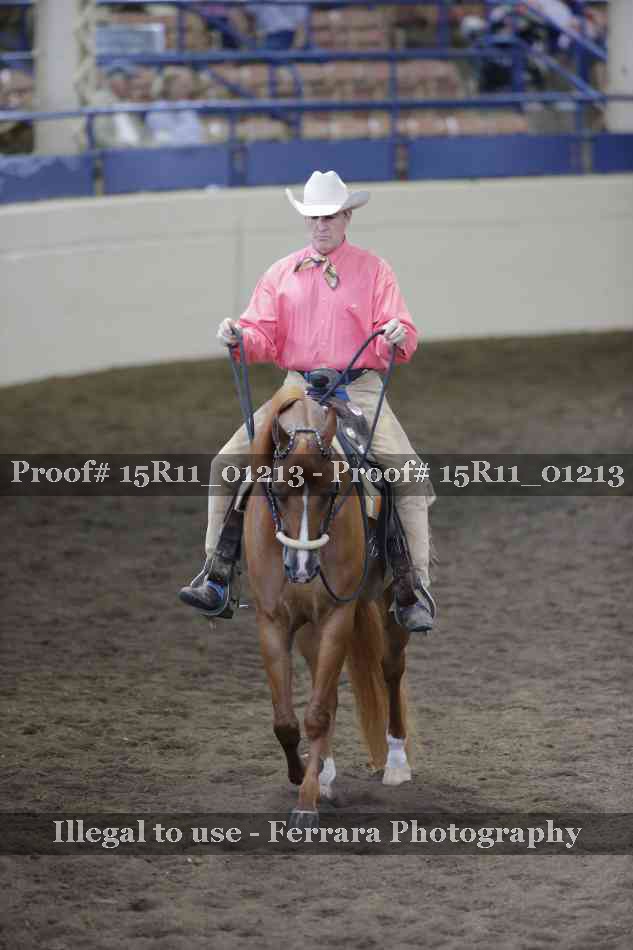 Proof Number 15R11_01213
