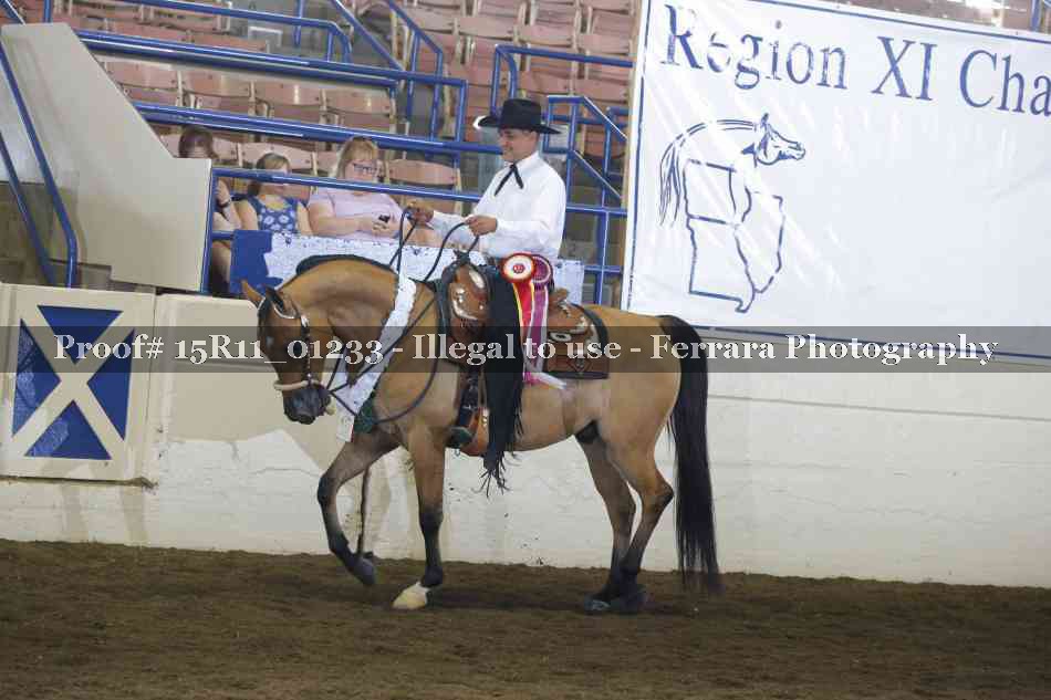 Proof Number 15R11_01233