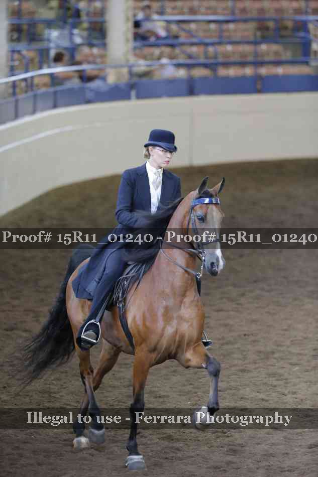 Proof Number 15R11_01240