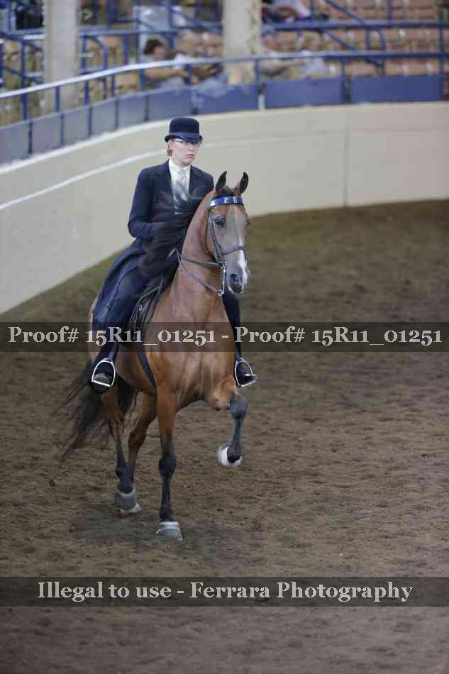 Proof Number 15R11_01251