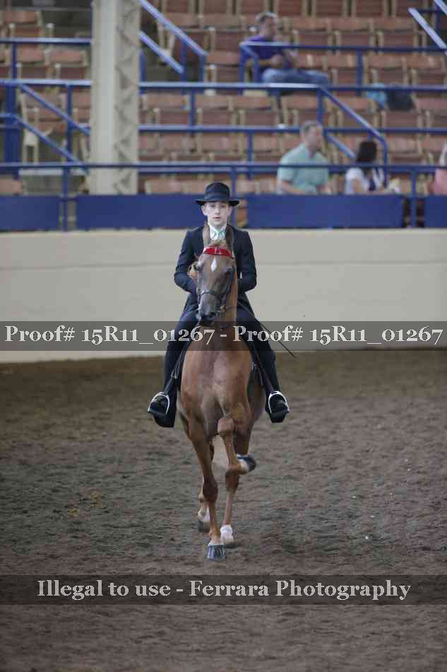 Proof Number 15R11_01267