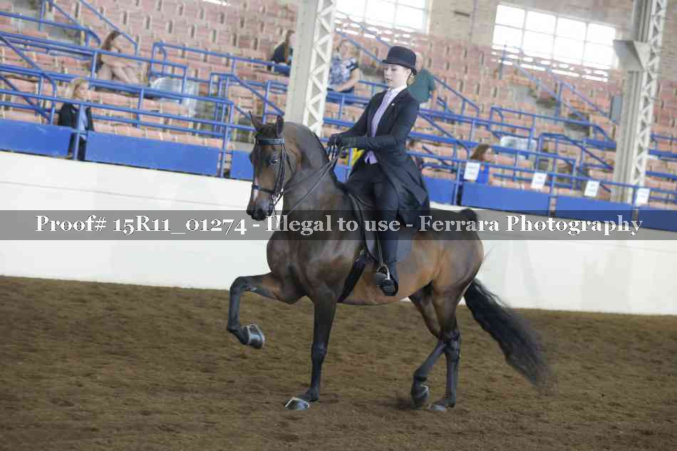 Proof Number 15R11_01274