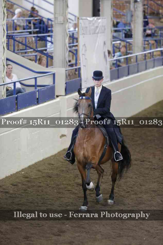 Proof Number 15R11_01283