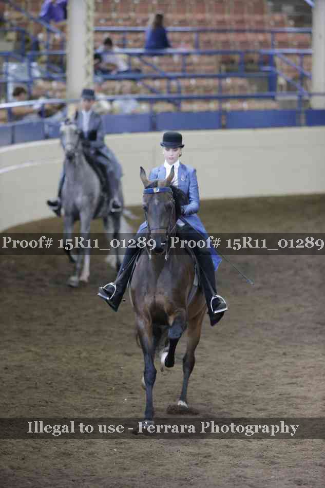 Proof Number 15R11_01289