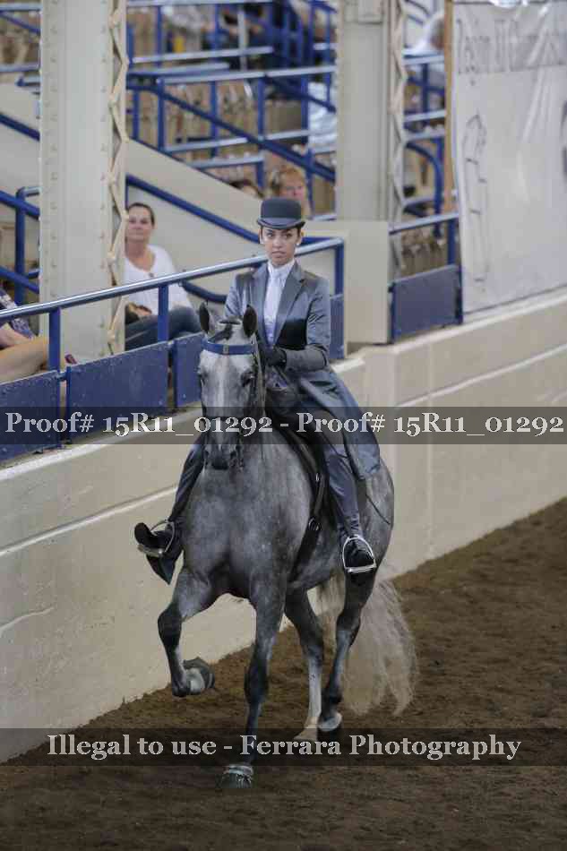 Proof Number 15R11_01292