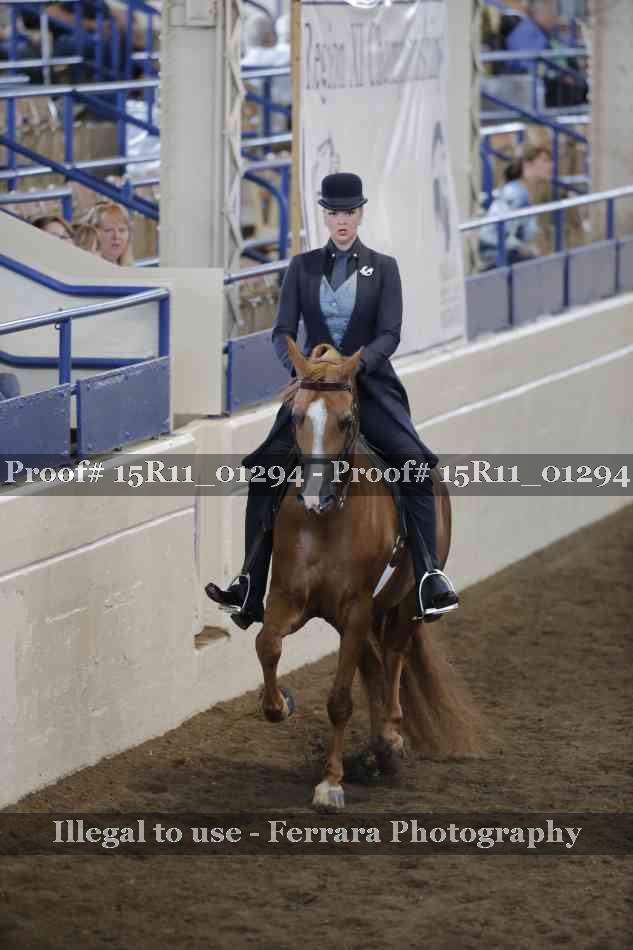 Proof Number 15R11_01294