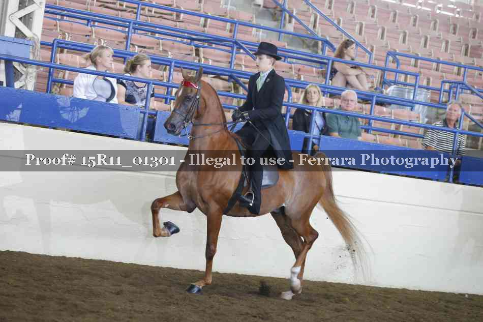 Proof Number 15R11_01301