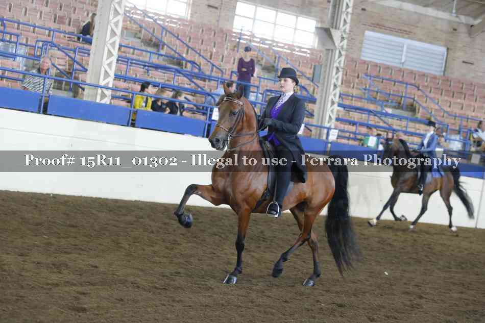 Proof Number 15R11_01302