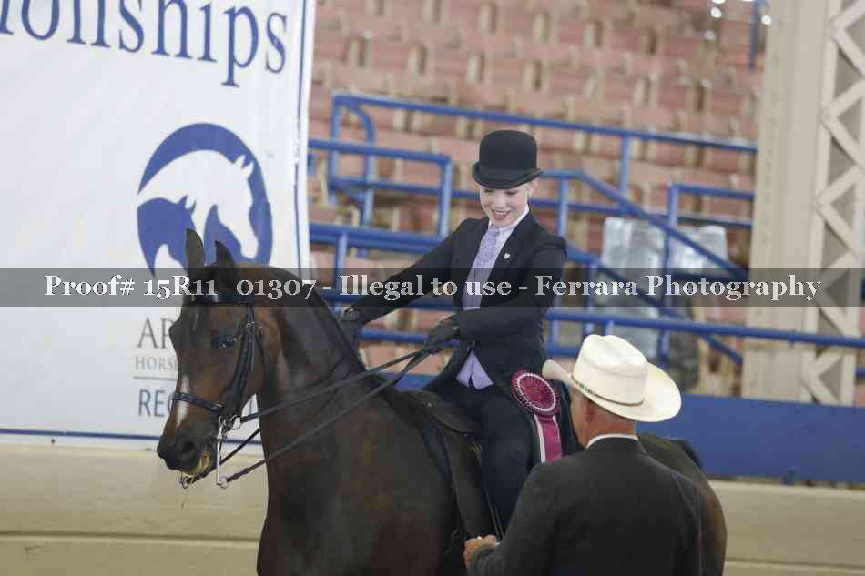 Proof Number 15R11_01307