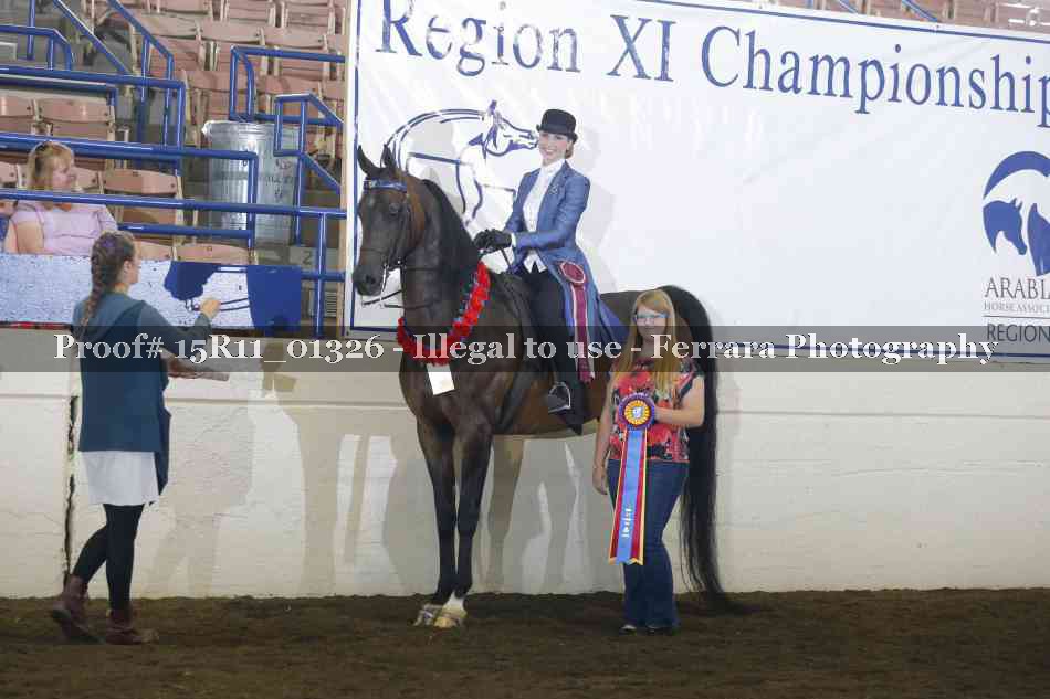 Proof Number 15R11_01326