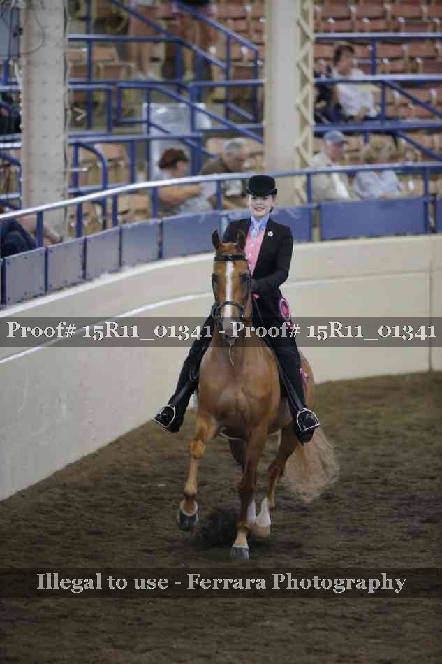 Proof Number 15R11_01341