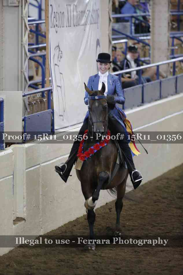 Proof Number 15R11_01356