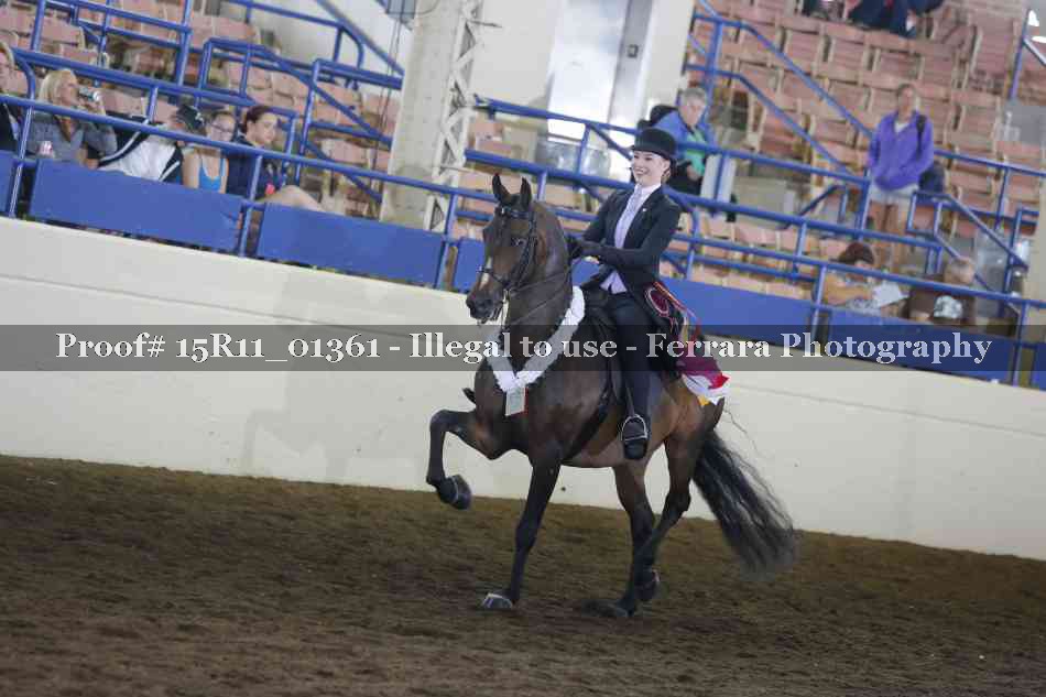 Proof Number 15R11_01361