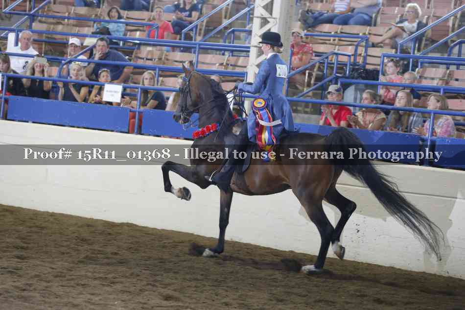 Proof Number 15R11_01368