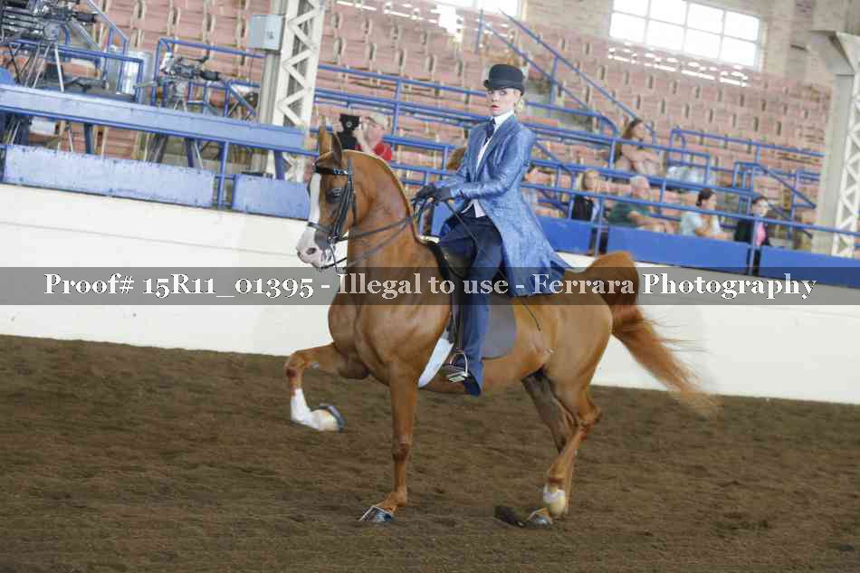Proof Number 15R11_01395