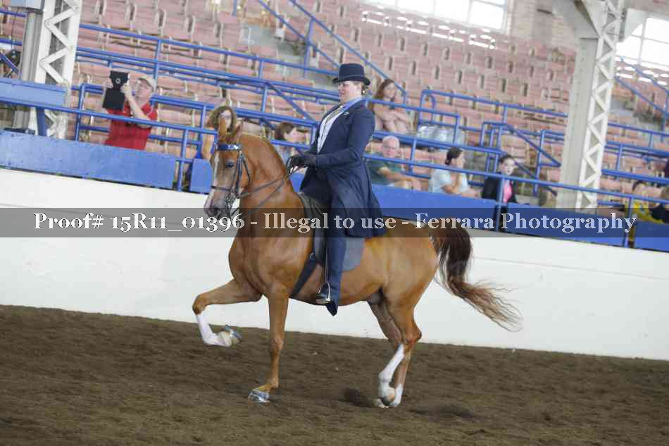 Proof Number 15R11_01396