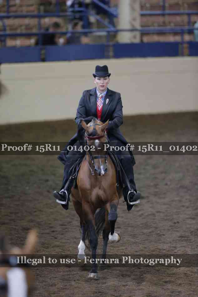 Proof Number 15R11_01402