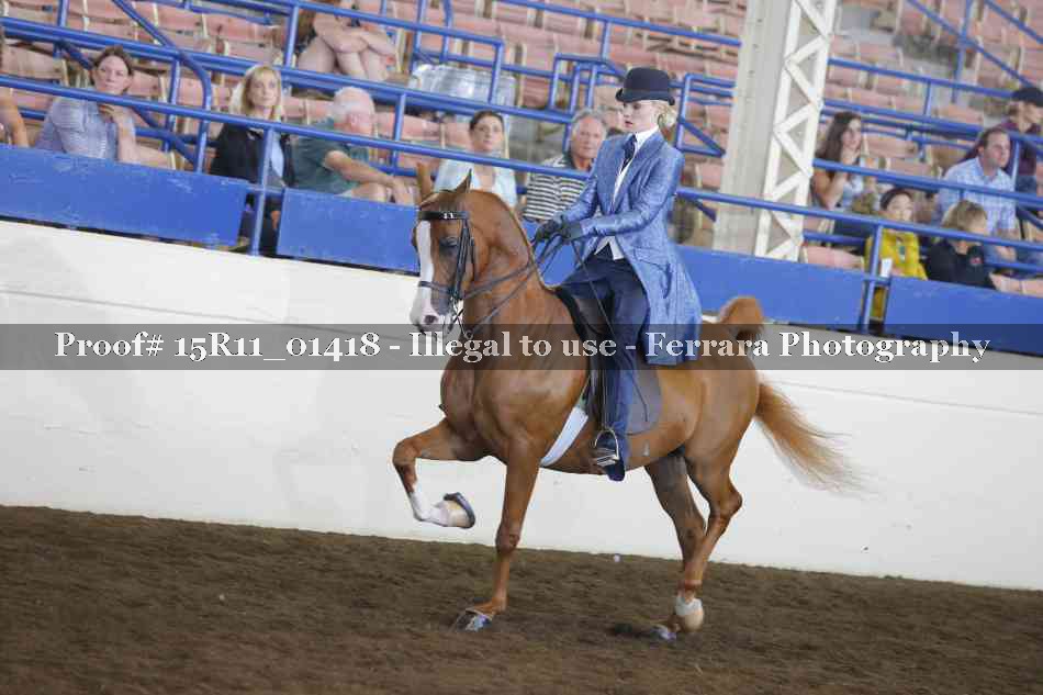 Proof Number 15R11_01418