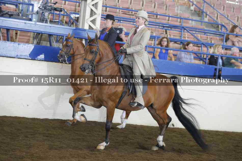 Proof Number 15R11_01421