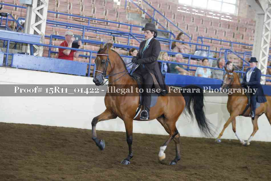 Proof Number 15R11_01422