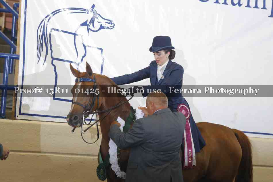 Proof Number 15R11_01425
