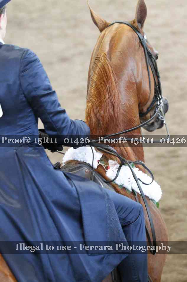 Proof Number 15R11_01426