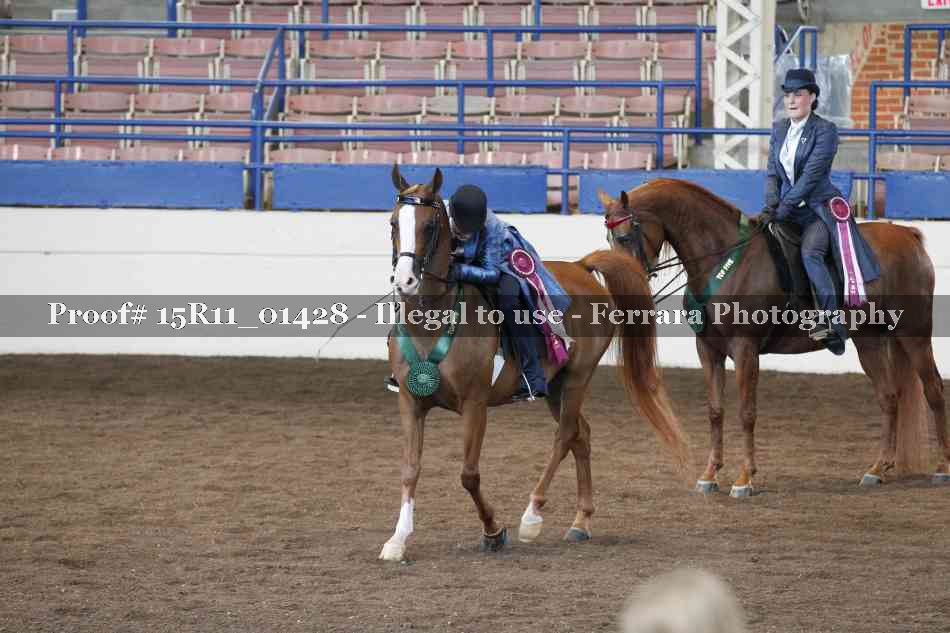 Proof Number 15R11_01428