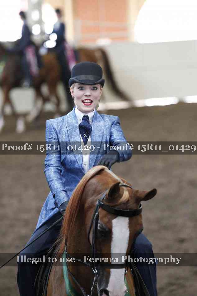 Proof Number 15R11_01429