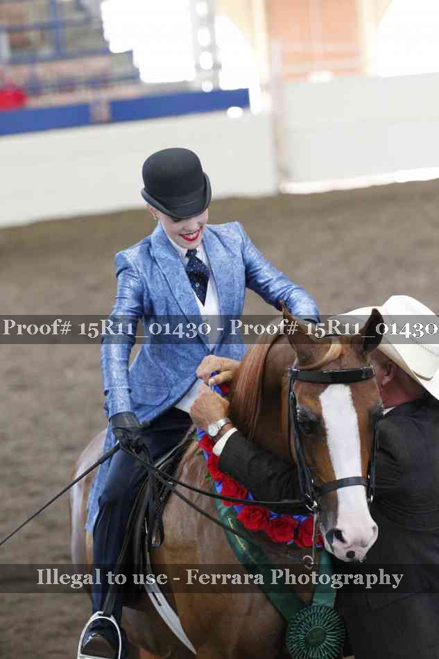 Proof Number 15R11_01430