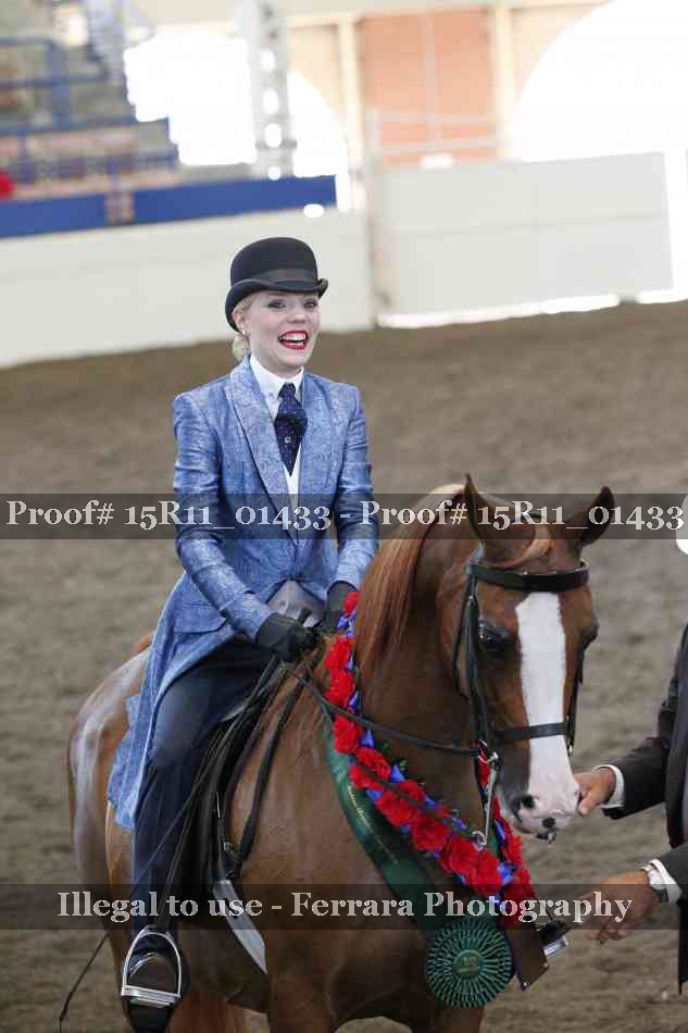 Proof Number 15R11_01433
