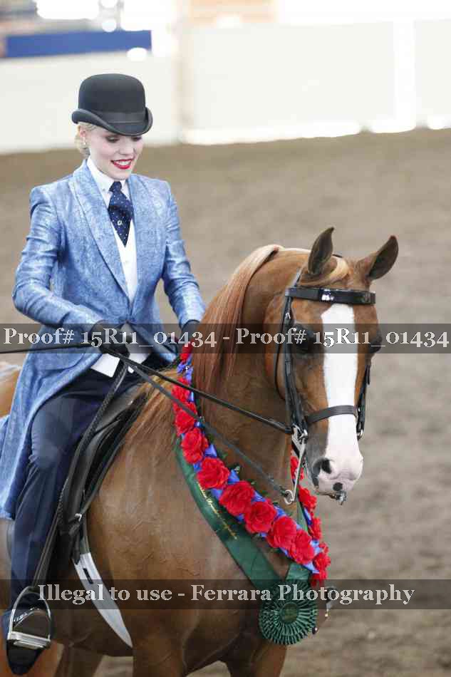 Proof Number 15R11_01434